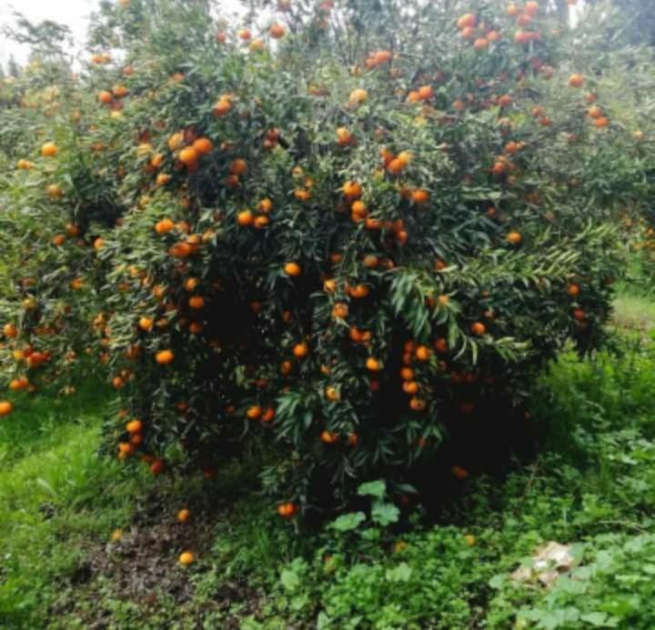 Dar Khedija El Kheriba Exterior foto